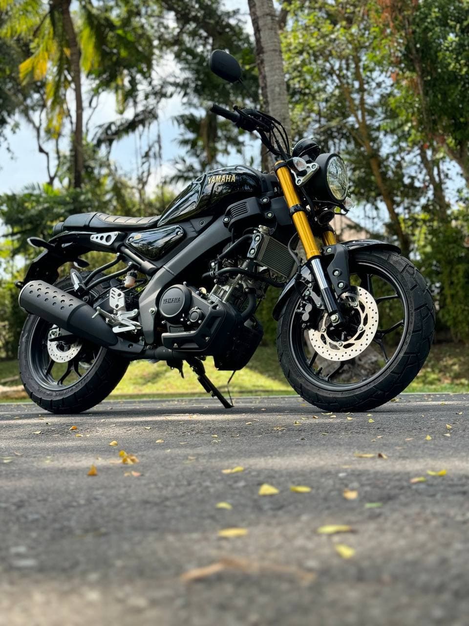 Yamaha XSR