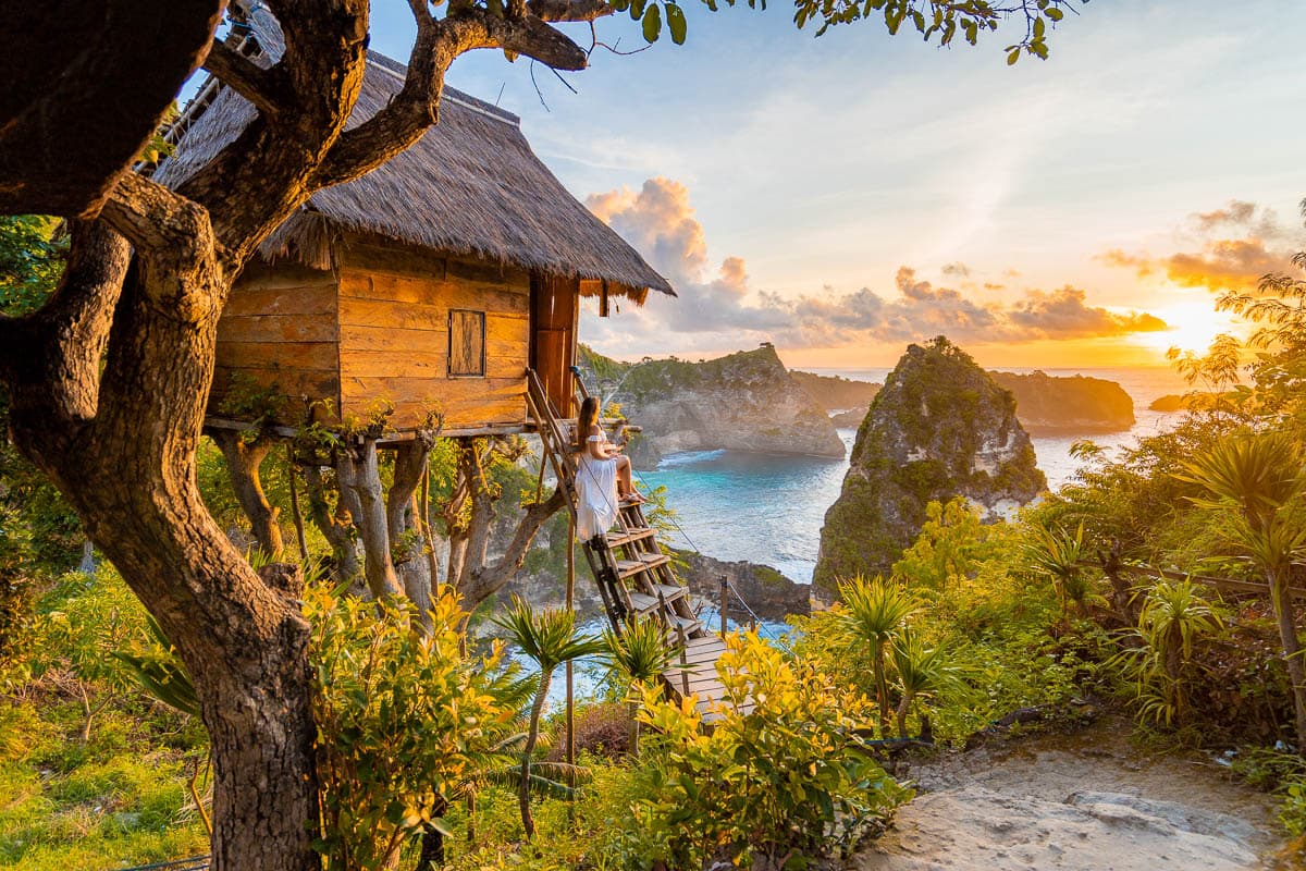 Tree House